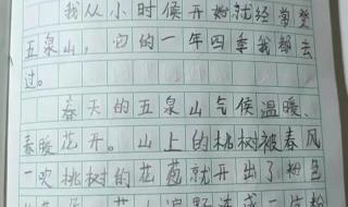 我的同学三年级作文 我的同学三年级作文