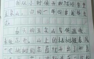 我的同学很特别,作文 描写我的同学作文400字
